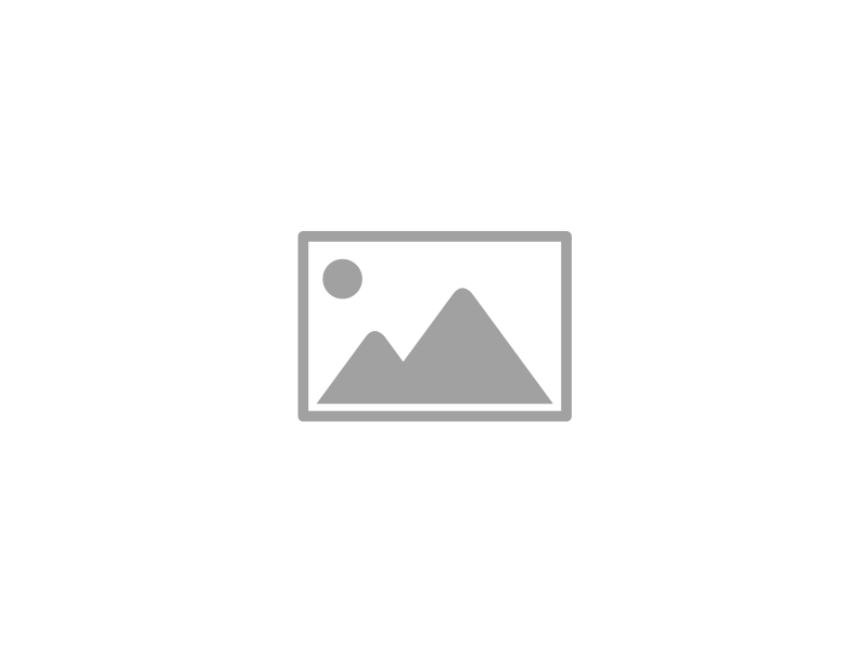 Formas Básicas Patada