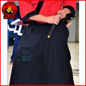 Pantalón Hakama Chi Kum Do-image